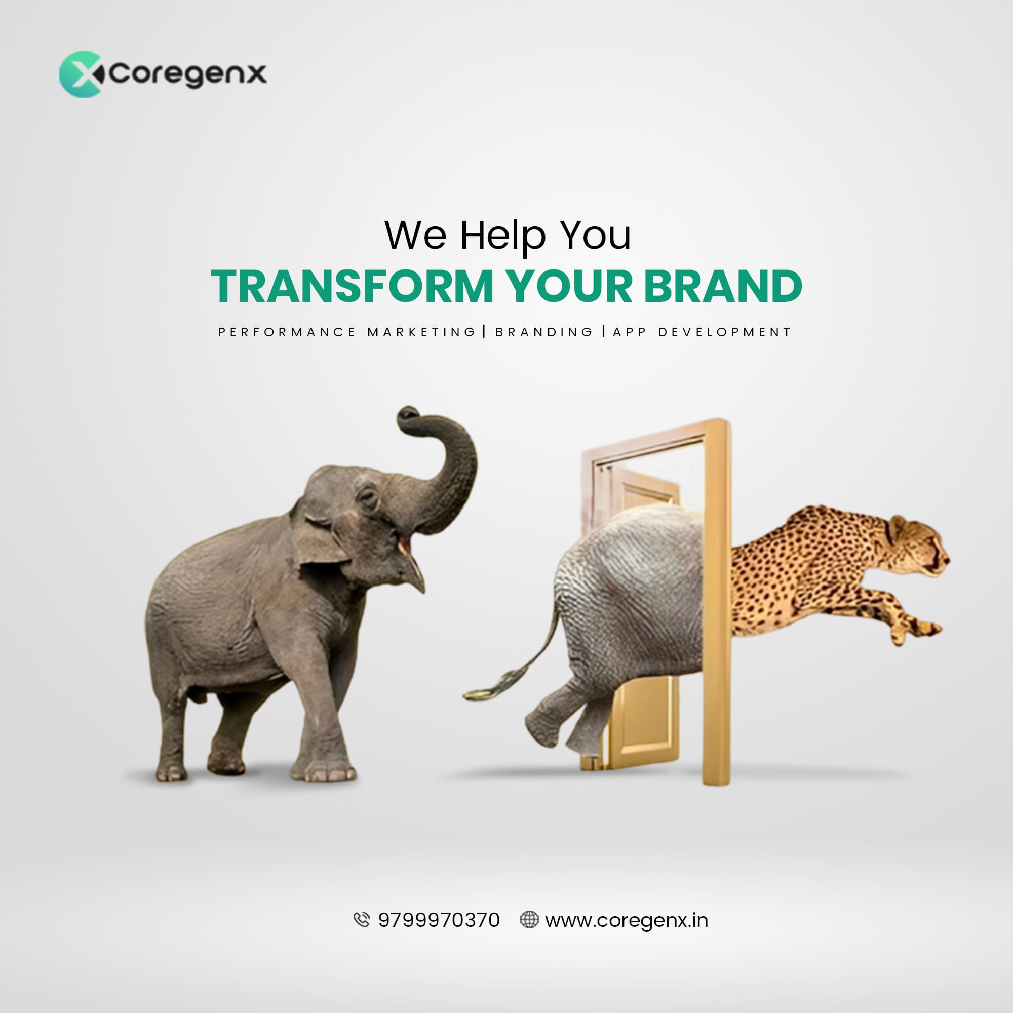 Performance Marketing Coregenx